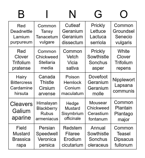 Weed ID Bingo Card