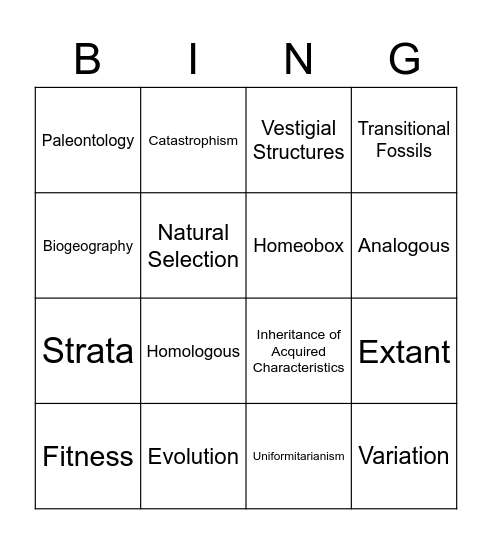 Evolution Bingo Card