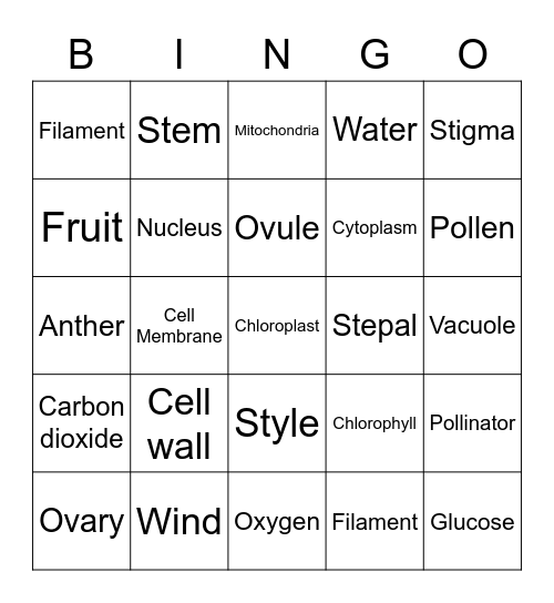 PLANTS Bingo Card