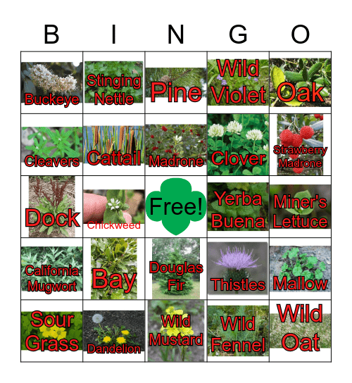 Ft. Forager Bingo Card