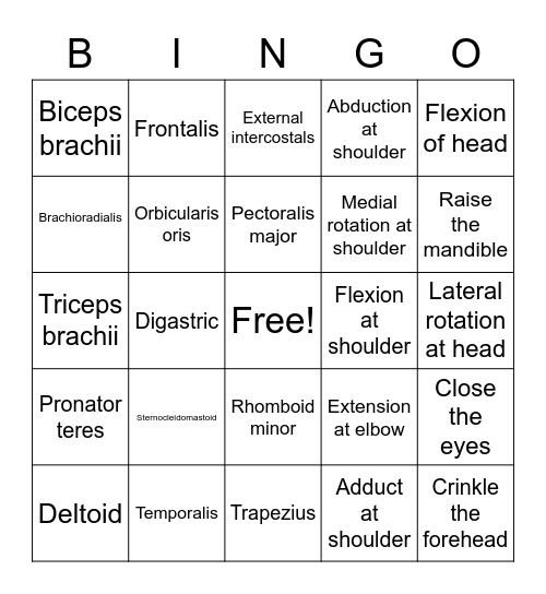 Dunston 141 Muscles Upper limb upper body Bingo Card