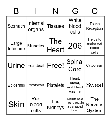 Human Body Bingo Card