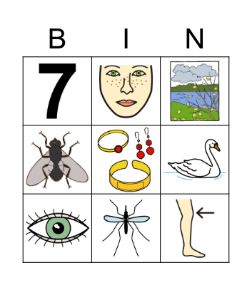 Č-sánit Bingo Card