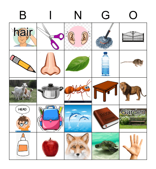 School Tools + Review Bingo Card