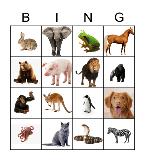 Animals Bingo Card