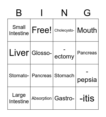Digestive System Bingo Card