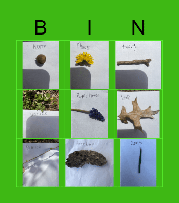 Nature Bingo Card