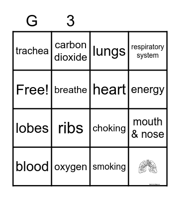 Respiratory System Bingo Card