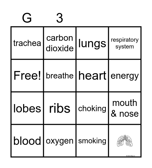 Respiratory System Bingo Card