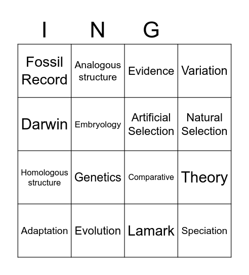 Evolution Bingo Card