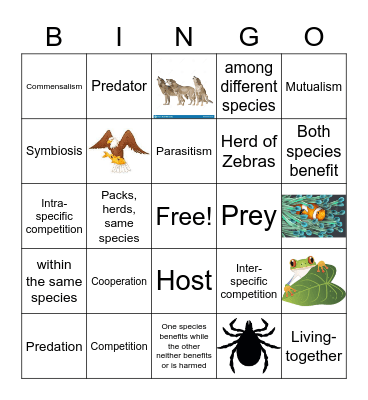 Ecological Relationships Bingo Card