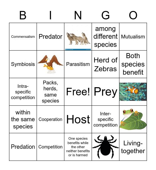 Ecological Relationships Bingo Card