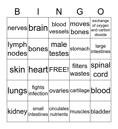 Physiology and Anatomy Bingo Card