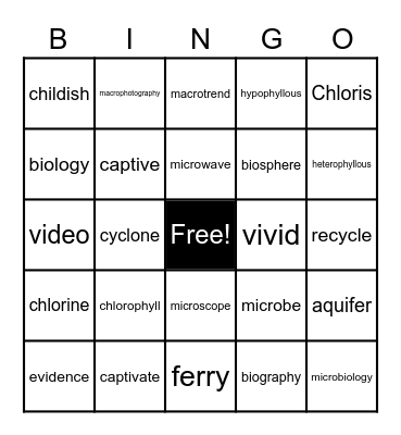 Stem List 22 Bingo Card