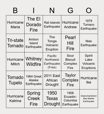 Natural Disaster Bingo Card