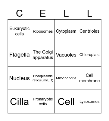 Cell Organells Bingo Card