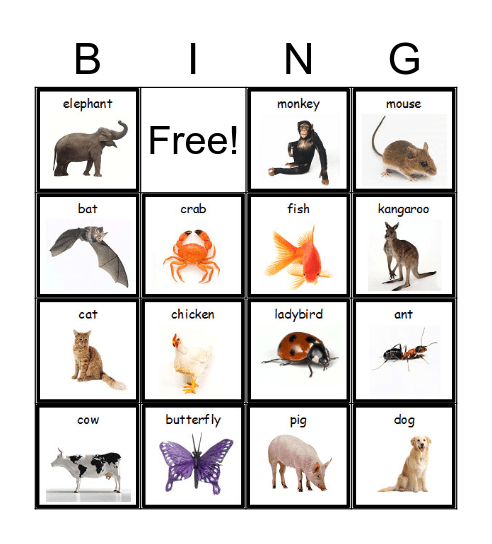 Animals Bingo Card