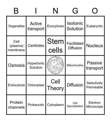 Unit 2 Vocabulary Bingo Card