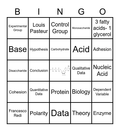 Unit 3 Vocabulary Bingo Card