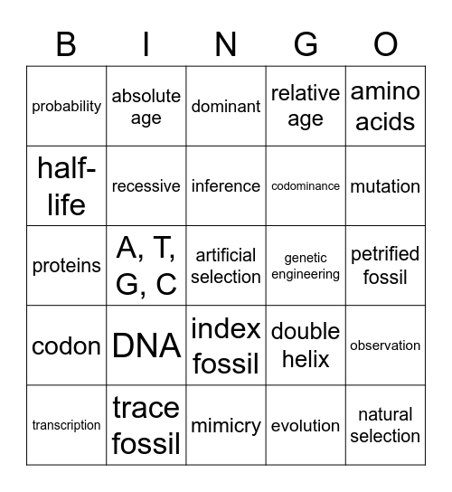 fossils, selection, DNA Bingo Card