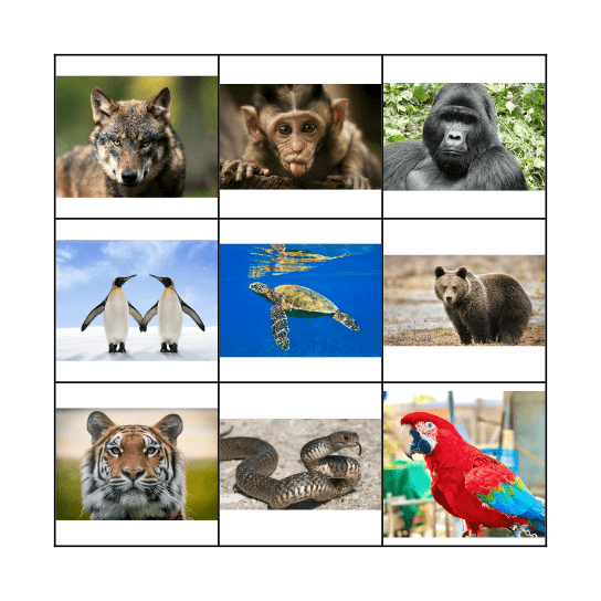 Animals! Bingo Card