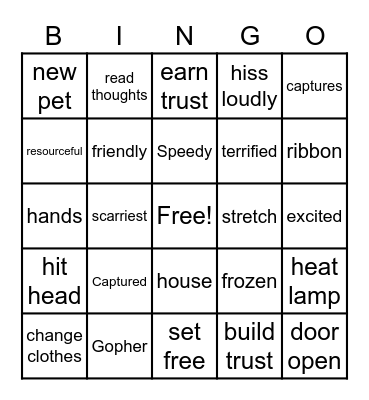 We Can't All Be Rattlesnakes Bingo Card