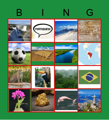 Brazil Bingo! Bingo Card