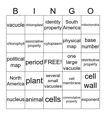 vocabulary review Bingo Card