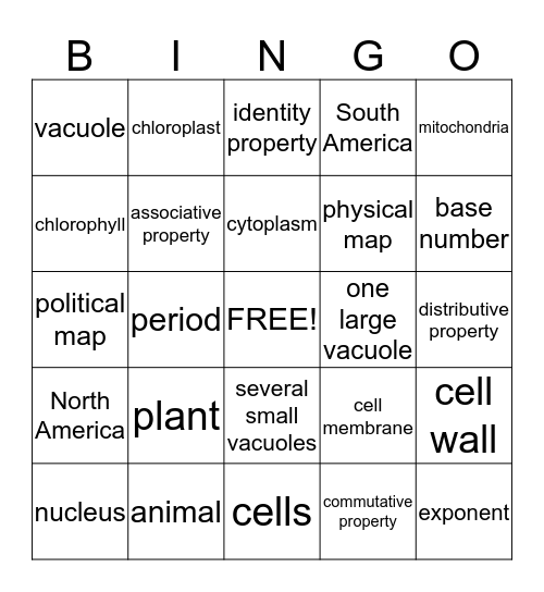 vocabulary review Bingo Card