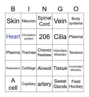 Body Systems Bingo Card
