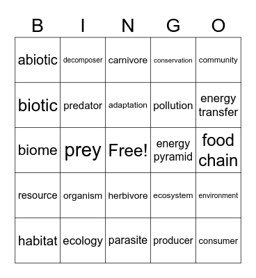 Ecology Vocabulary Bingo Card