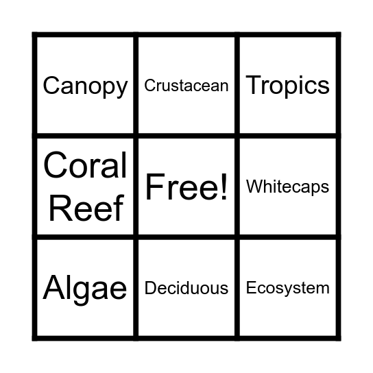 Vocabulary Bingo Card