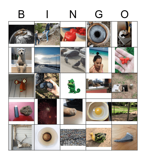 Objects That Look Like Other Things! Theme By Meera Pisharody! Bingo Card