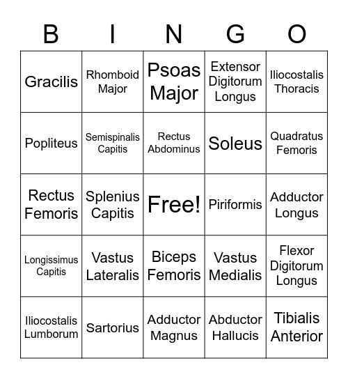 MSA Lab II Final Bingo Card