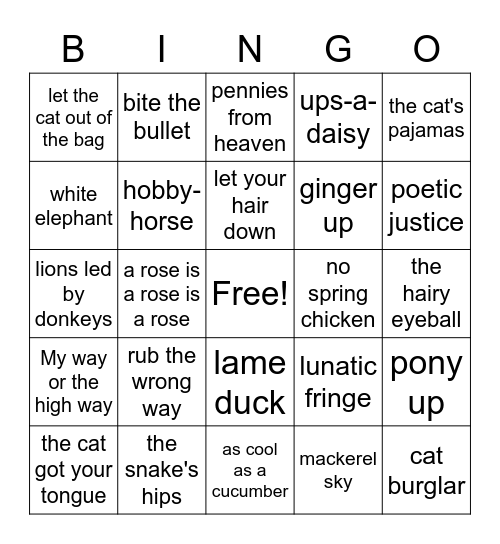 11th Idioms Bingo Card