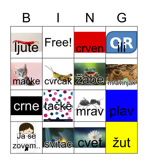 Mravac Mrav Bingo Card