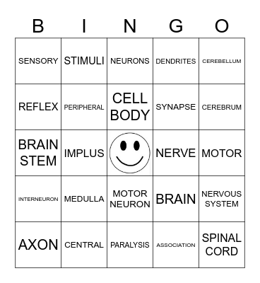NERVOUS SYSTEM Bingo Card