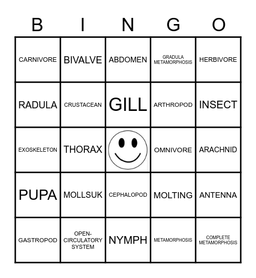 MOLLUSK,ARTHROPODS,ECHINODERMS Bingo Card