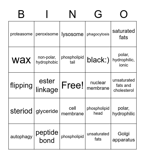 Exam 3 Material Bingo Card