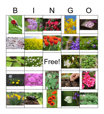 Spring Bingo Card