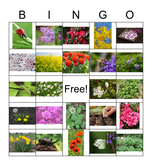 Spring Bingo Card