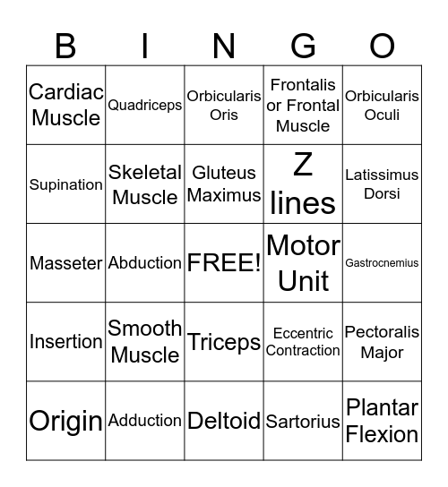 Muscle Bingo Card