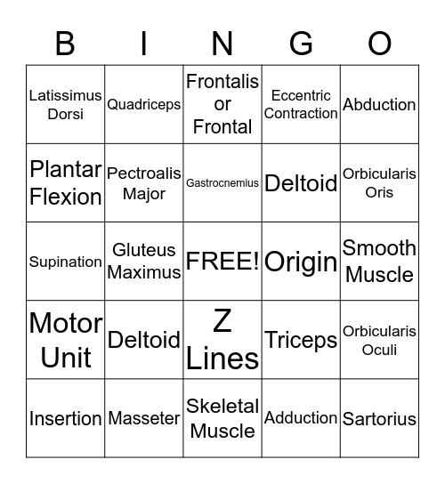 Muscle Bingo Card