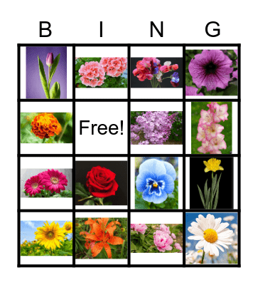 MAY FLOWERS Bingo Card