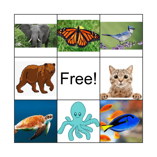 Animal Bingo Card
