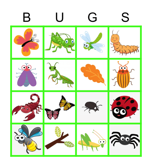 INSECTS & BUGS! Bingo Card