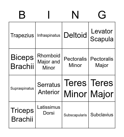 Shoulder Bingo Card