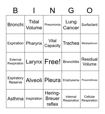 Respiratory system Bingo Card