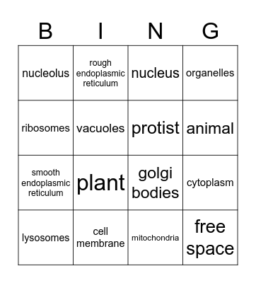 Cell Organelles Bingo Card