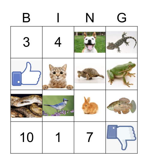 Adrianna's Animal Bingo Card